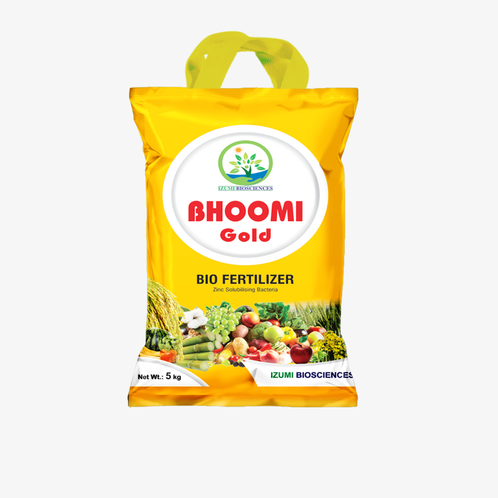 Bhomi Gold Front