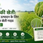 धान की खेती