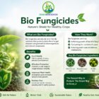 Bio Fungicide