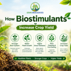 Increase Crop Yield With Biostimulants