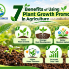 Plant Growth Promoters